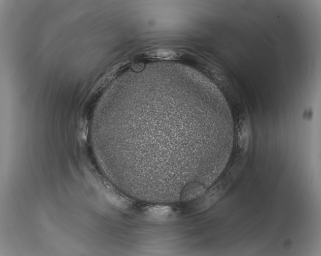 X0000115340374200911161838