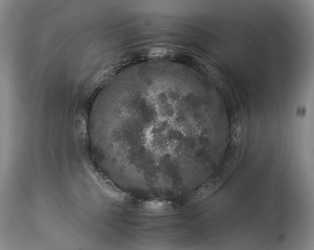 X0000115340375200911161838