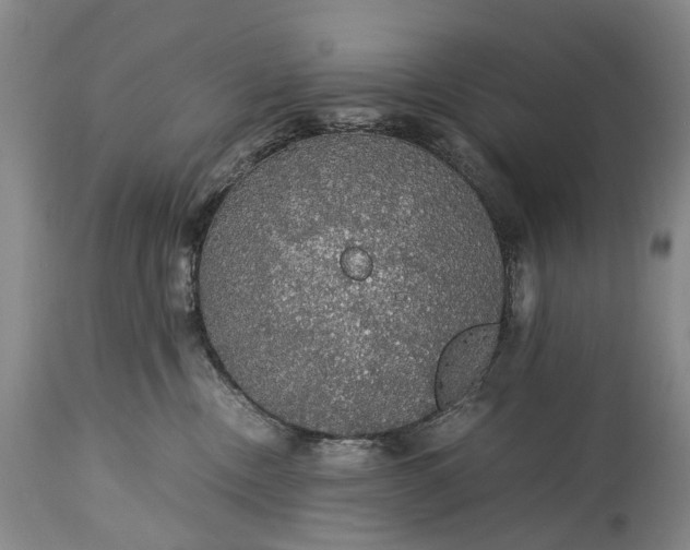 X0000115340378200911161838