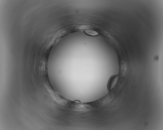 X0000115340379200911161838