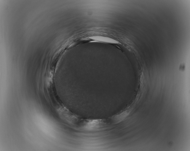X0000115340382200911161838