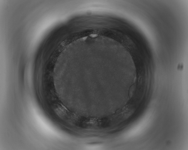 X0000115340383200911161838