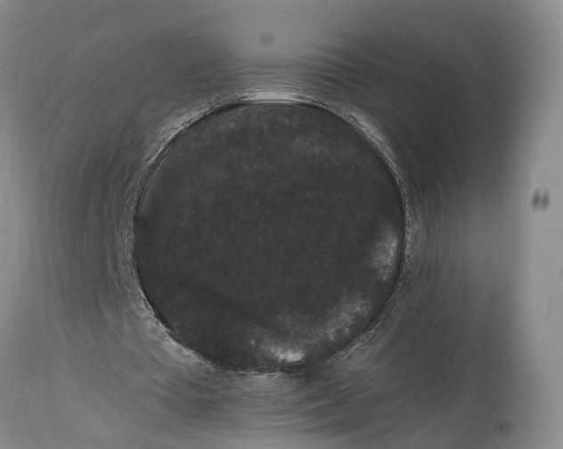 X0000115340385200911161837