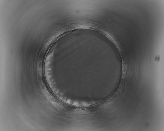 X0000115340386200911161837