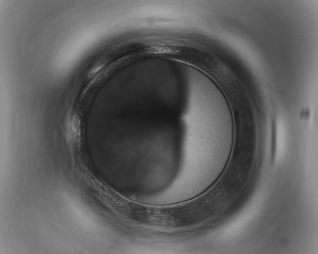 X0000115340387200911161837
