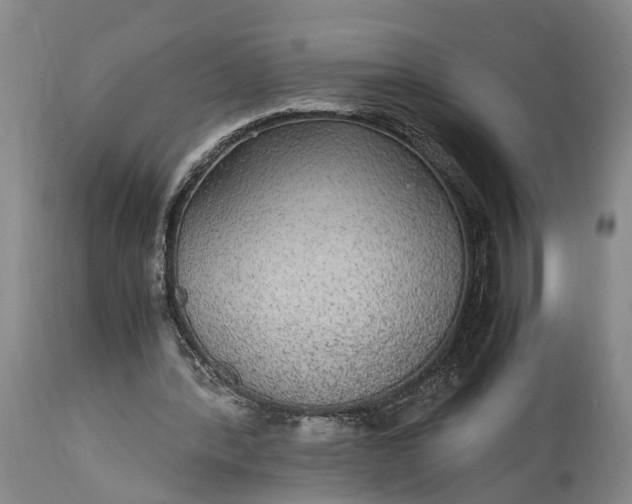 X0000115340388200911161837