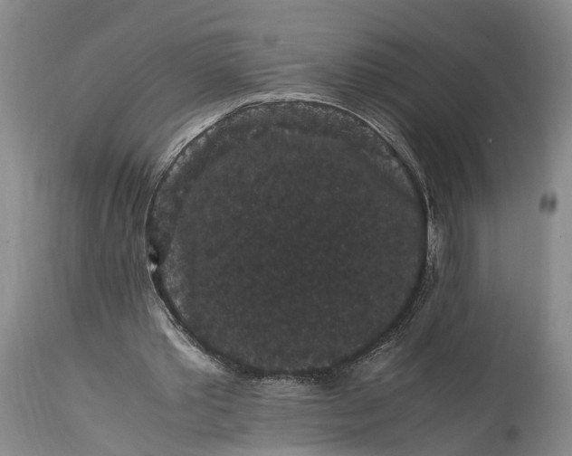 X0000115340389200911161837