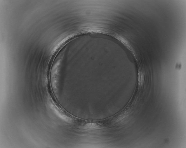 X0000115340390200911161837