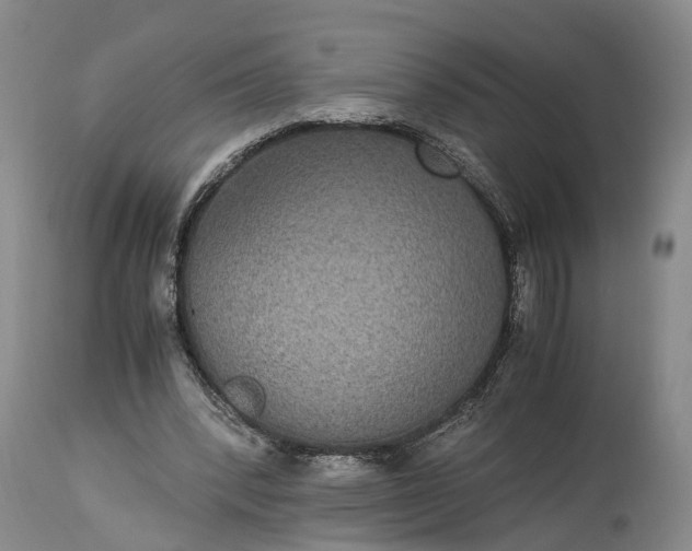 X0000115340392200911161837