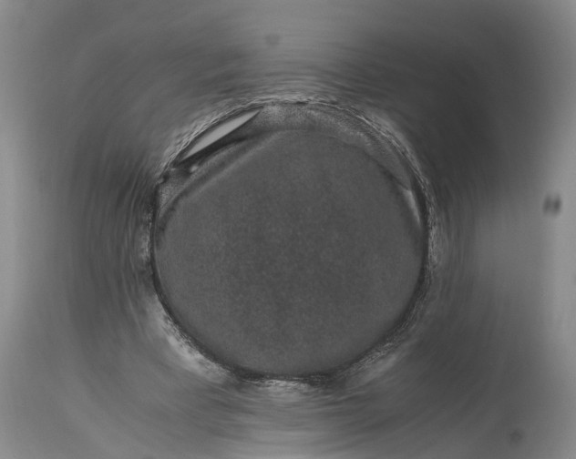 X0000115340393200911161837