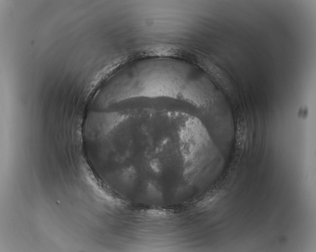 X0000115340394200911161837