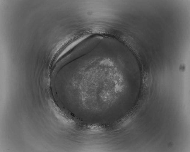 X0000115340395200911161837