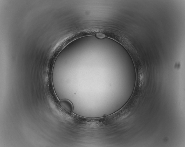 X0000115340396200911161837