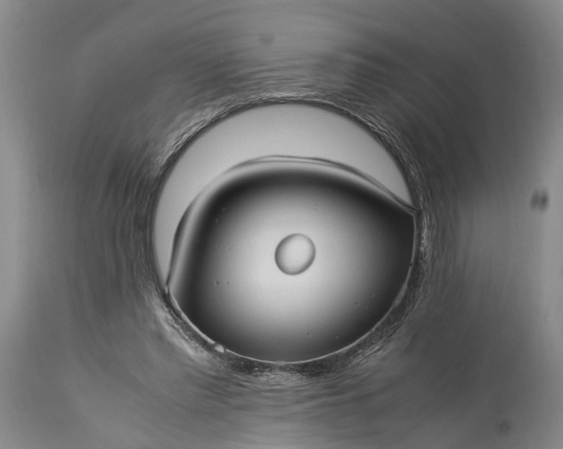 X0000115340397200911161837