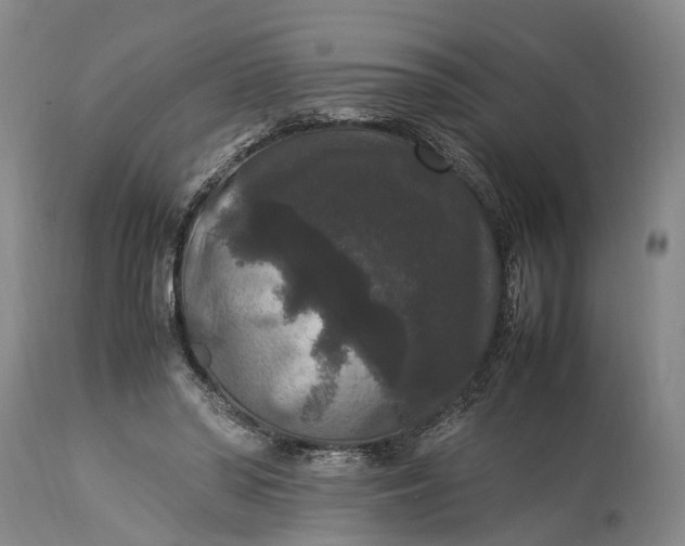 X0000115340398200911161837