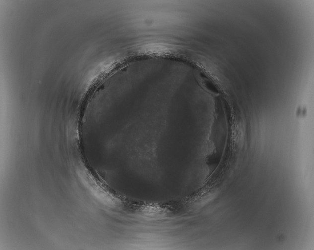 X0000115340399200911161837