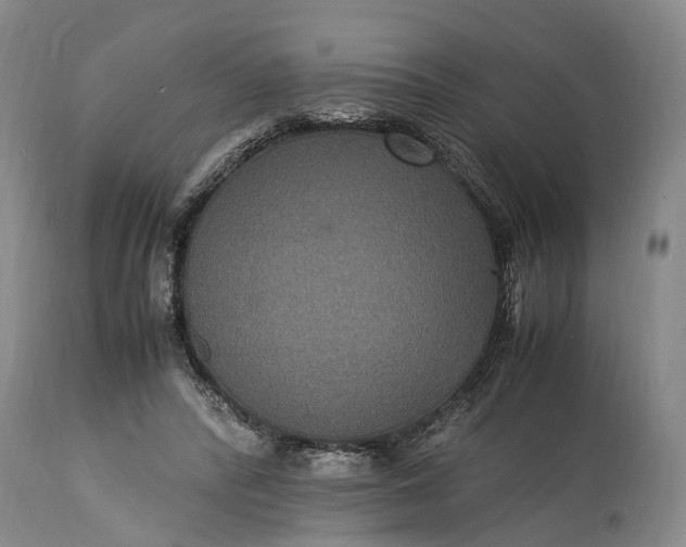 X0000115340400200911161837