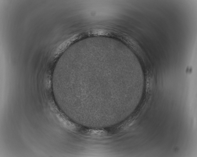 X0000115340401200911161837