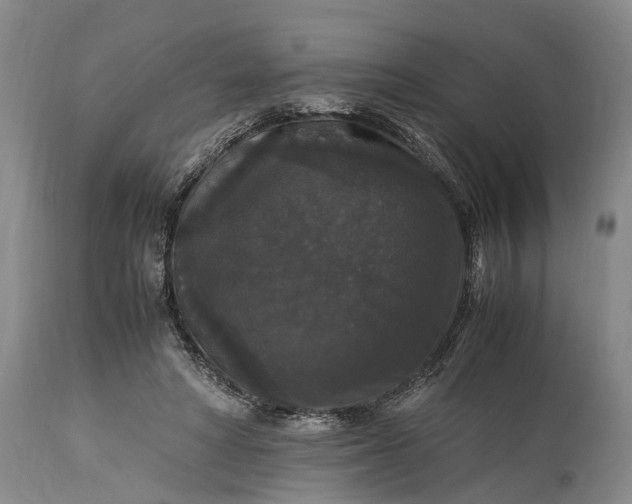 X0000115340402200911161837