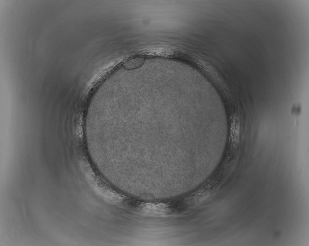 X0000115340403200911161837