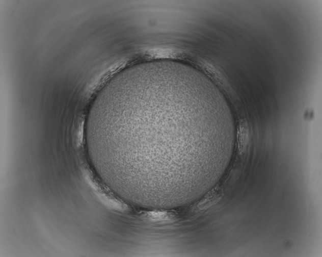 X0000115340406200911161837