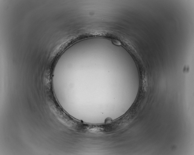 X0000115340407200911161837