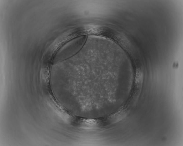 X0000115340409200911161837