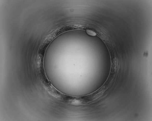 X0000115340412200911161837