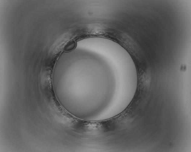 X0000115340415200911161837