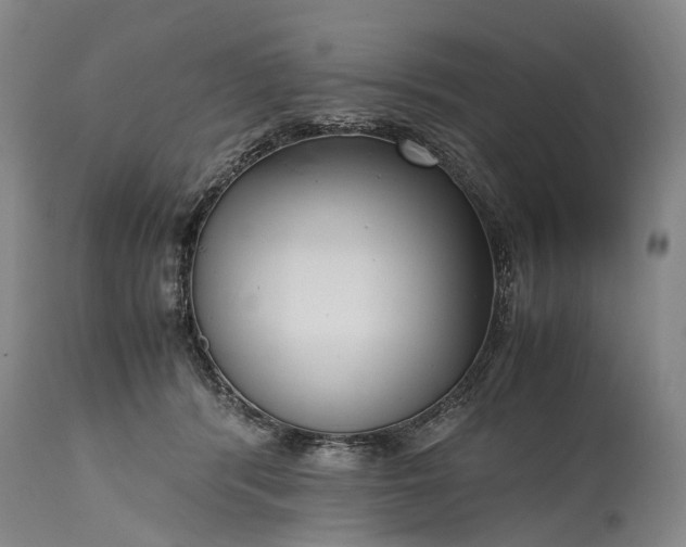 X0000115340416200911161837
