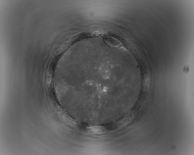 X0000115340417200911161837
