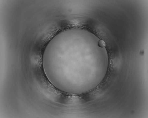 X0000115340419200911161837