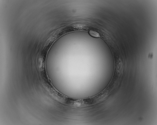 X0000115340420200911161837