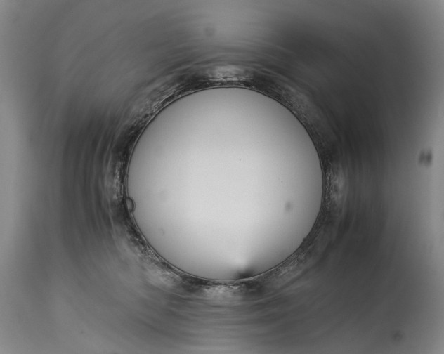 X0000115340422200911161837