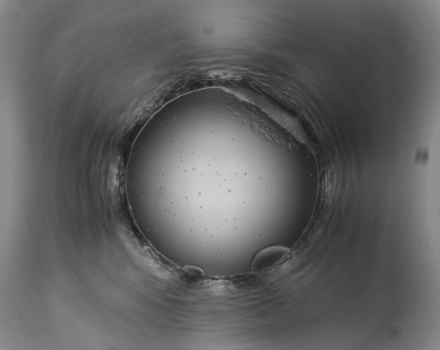 X0000115340424200911161837