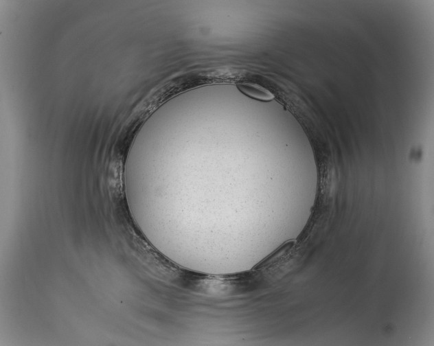 X0000115340425200911161837