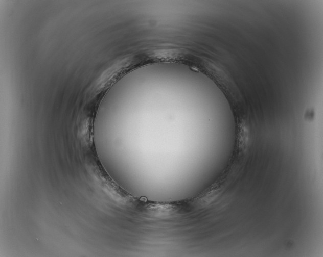 X0000115340428200911161837