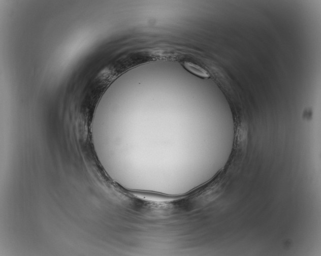 X0000115340429200911161837