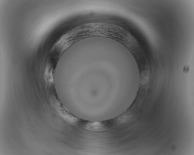 X0000115340431200911161837