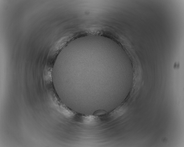 X0000115340432200911161837