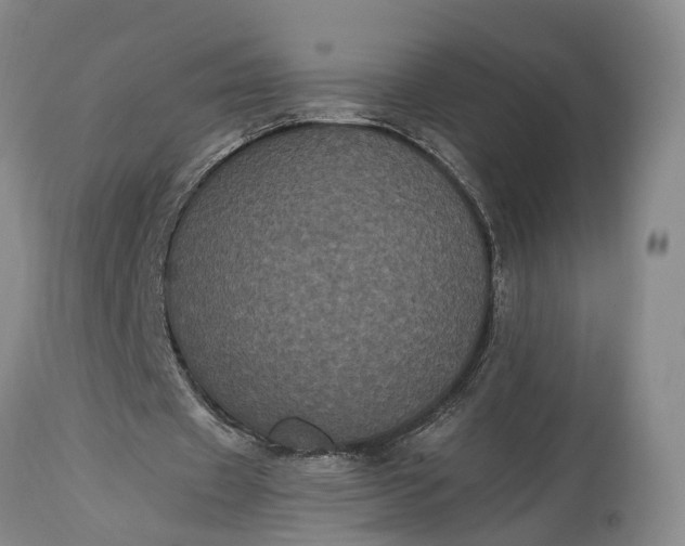 X0000115340433200911161836