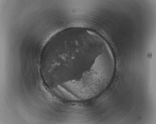 X0000115340434200911161836
