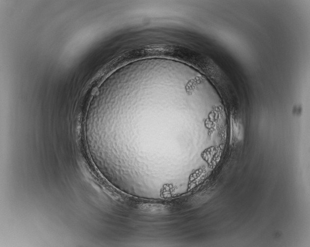X0000115340435200911161836