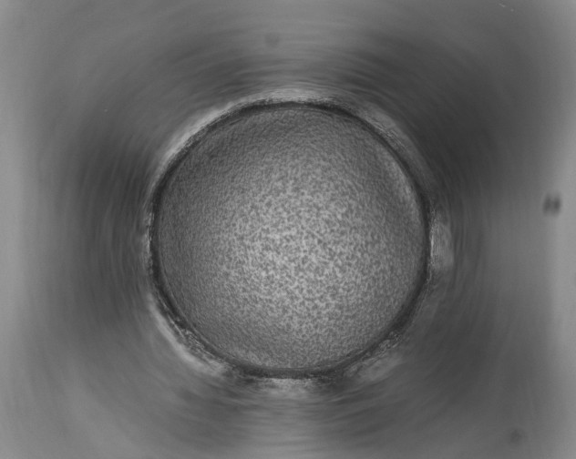 X0000115340436200911161836