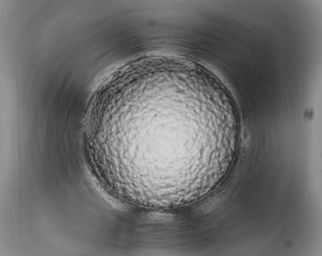 X0000115340437200911161836