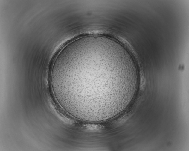 X0000115340439200911161836