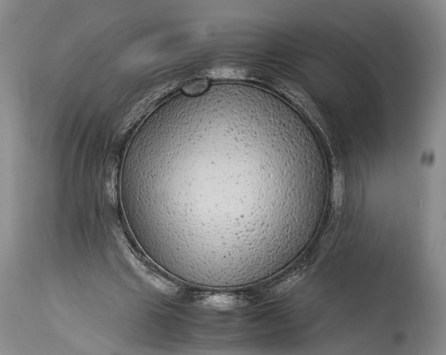 X0000115340441200911161836