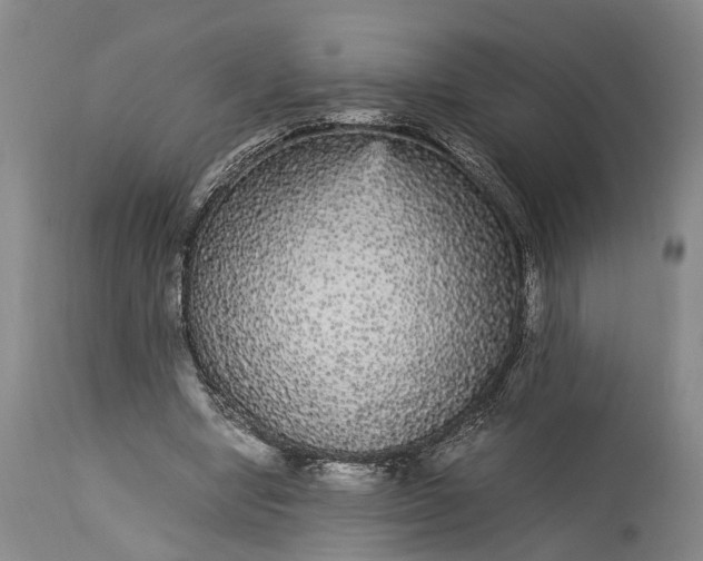 X0000115340442200911161836