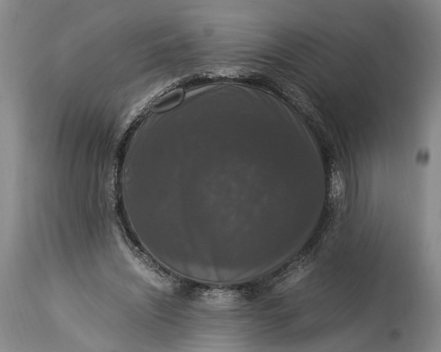 X0000115340444200911161836