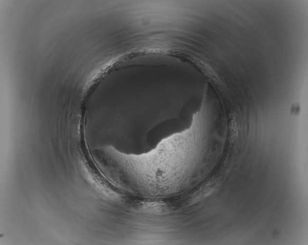 X0000115340446200911161836